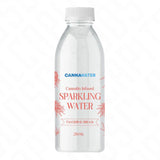 Cannawater Cannabis Infused Tangerine Dream Sparkling Water 250ml