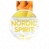 Nordic Spirit Regular 6mg Nicotine Pouches Nordic Spirit