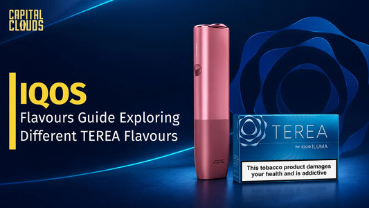  IQOS Flavours Guide: Exploring Different TEREA Flavours