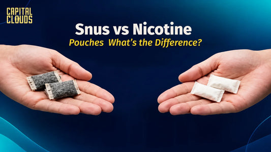 Snus vs Nicotine Pouches What’s the Difference?