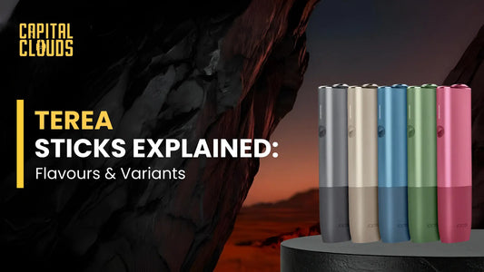 Terea Sticks Explained: Best Flavours, Variants & How to Choose