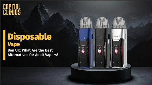 Disposable Vape for adult vapers