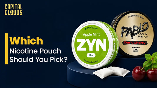 Which Nicotine Pouch Should You Pick? 
