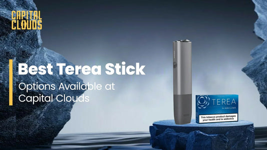 Best terea stick