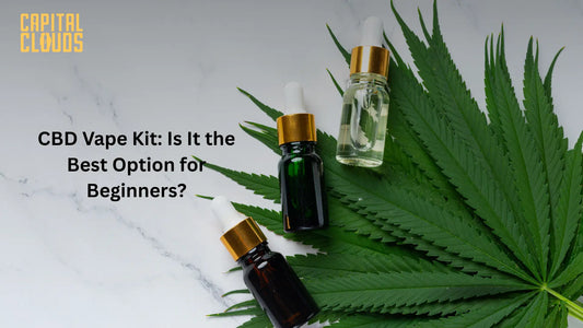 CBD Vape Kit: Is It the Best Option for Beginners?