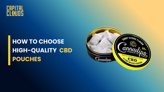 How to Choose High-Quality CBD Pouches: A Complete Buyer’s Guide