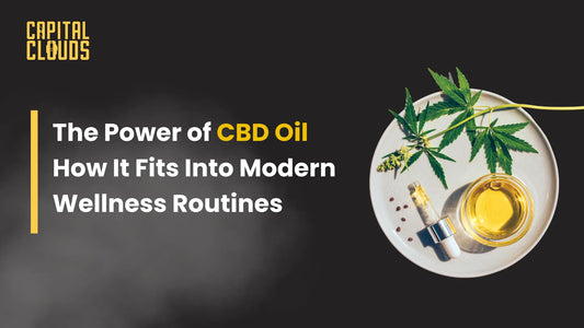 The Power of CBD Oil  How It Fits Into Modern Wellness Routines