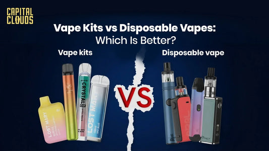 Vape Kits vs Disposable Vapes: Which Is Better?