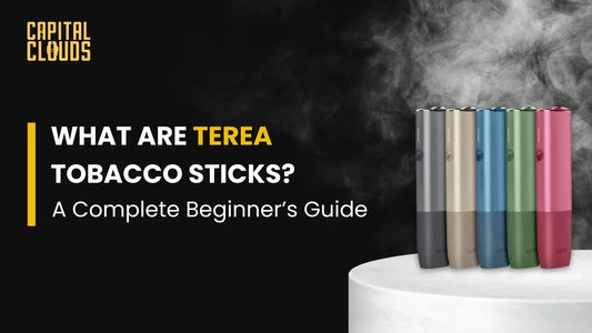 What is Terea? A Complete Guide for Beginners