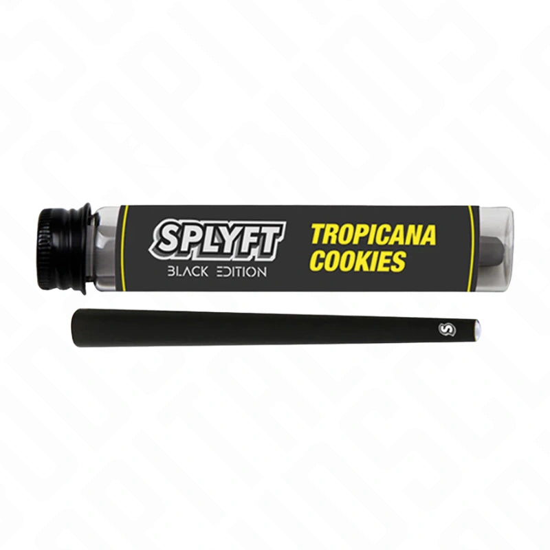 SPLYFT Black Edition Cannabis Terpene Infused Cones – Tropicana Cookies