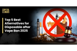 Top 5 Vape Alternatives After Disposable Ban in 2025