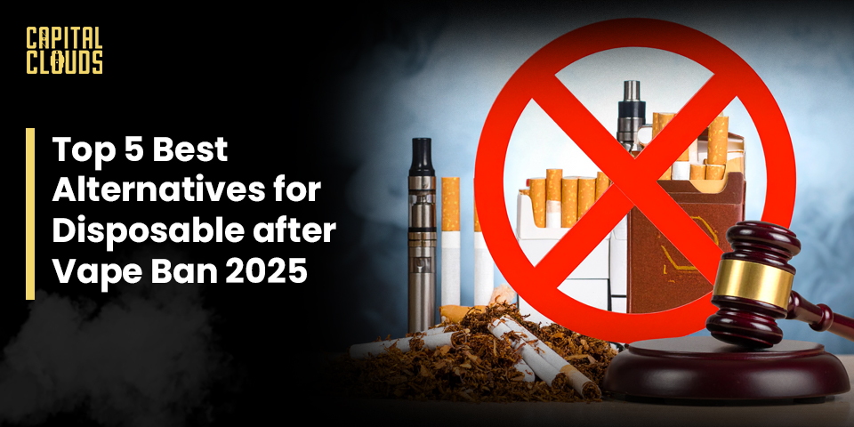 Top 5 Best Alternatives for Disposable after Vape Ban 2025