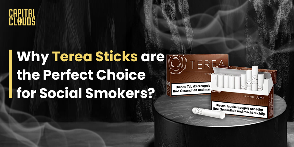 Terea Sticks with sleek packaging